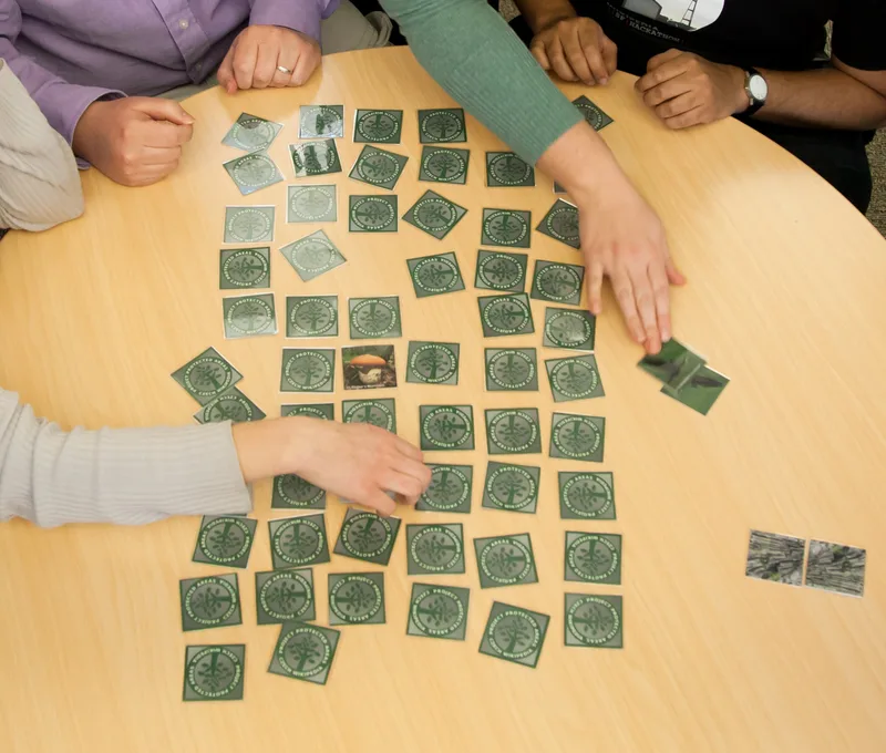 The classic memory matching game where players flip cards and try to match two picture of the same thing together.